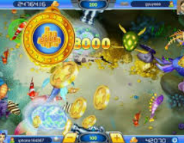 333体育电脑免费版