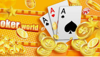 333体育2024最新版