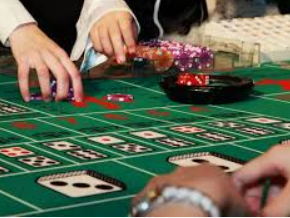 333体育2024最新版